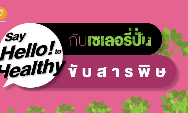 Say hello to healthy กับเซเลอรี่ปั่น ขับสารพิษ