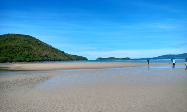 ปล่อยปลาฉลามทรายที่หาดเตยงาม