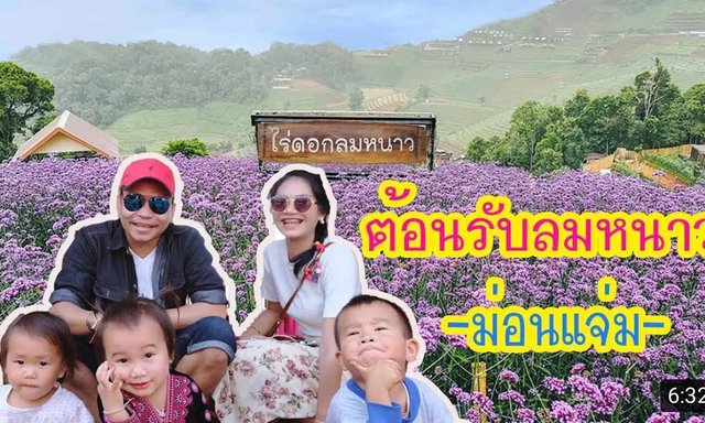 ชวนกันไปหนาวที่ม่อนแจ่ม เชียงใหม่