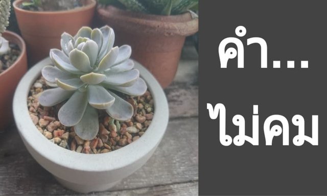 เพราะความล้มเหลว ทำให้เราเติบโต
