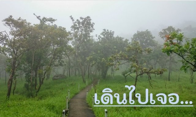 เดินไปเจอ...ตอนที่ 3