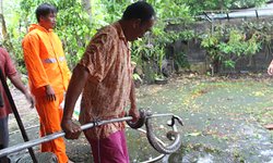 คอหวยแห่มุงเลขที่บ้านงูเหลือมเลื้อยเข้า นายกเล็กท้ายเหมืองโชว์ฝีมือจับเองกับมือ