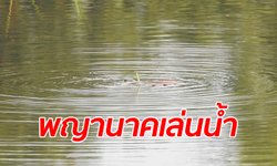 ฮือฮา จัดพิธีบวงสรวงใหญ่หลังพญานาคโผล่เล่นน้ำ เชื่อมาให้โชคลาภก่อนออกพรรษา