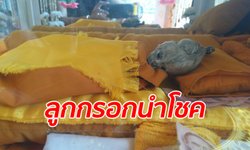 คอหวยพึ่งบารมี "ลูกกรอกหลวงพ่อกุมาร" ขุดเจอตอนล้างป่าช้า ให้โชค 9 งวดติด