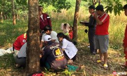 หนุ่มพลาดผึ้งหลวงรุมต่อยตาย ศีรษะมีแต่เหล็กใน
