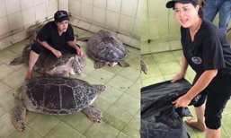 พบอีก เต่ากินเหรียญ สัตวแพทย์เร่งช่วย หวั่นซ้ำรอยเต่าออมสิน