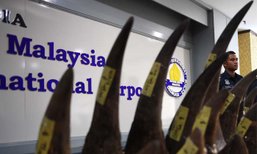 เจ้าหน้าที่มาเลเซียตรวจพบนอแรดลักลอบส่งมาทางสนามบิน