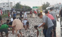 กระบะถูกรถพ่วงชนท้าย! ชาวบ้านเเห่เก็บปลา 3 ตัน กระจายเกลื่อนถนน