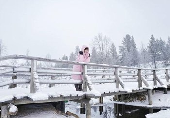 เพชรจ้า นิวเคลียร์