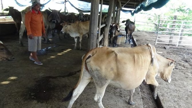 news08-1