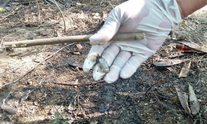 ยังเป็นปริศนา โครงกระดูกสาวชุดแดงกลางป่า ขุดพบรักยมใกล้ศพ