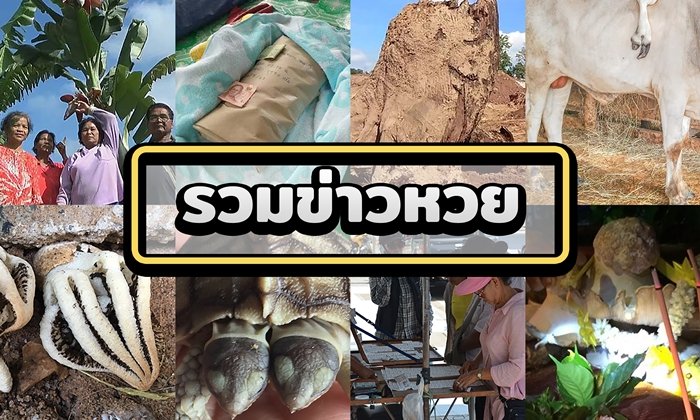 ตีเลขเด็ด! จากข่าวยอดนิยม ประจำงวดวันที่ 16 พ.ค. 61