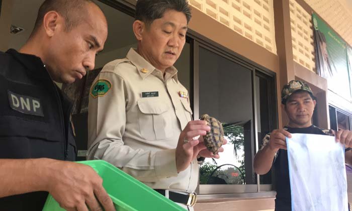 รวบแก๊งลักลอบนำสัตว์ ออกนอกประเทศ ตรวจพบกระทำผิดบัญชีไซเตส