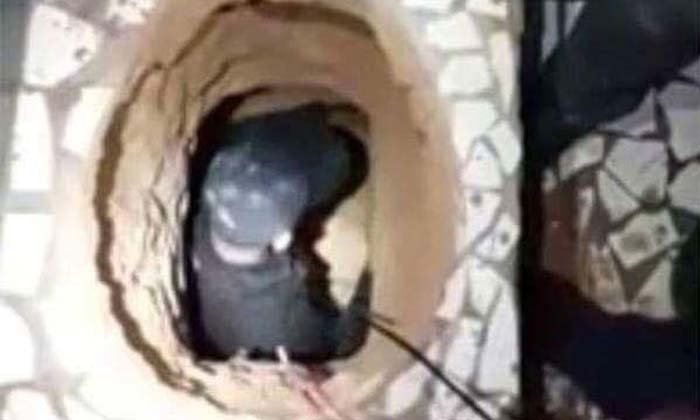 นักโทษขุดอุโมงค์แหกคุกใต้โถอึ สุดท้ายขาดอากาศตายอยู่ข้างใน