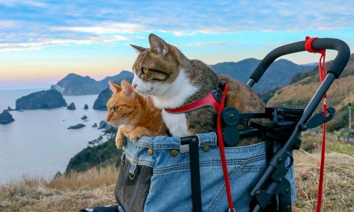 à¸à¸µà¸§à¸´à¸à¸à¸µà¹à¸à¸µ-à¸à¸µà¸­à¸µà¹à¸­à¸«à¸à¸¸à¹à¸¡à¹à¸«à¸à¹à¸à¸±à¸à¸ªà¸­à¸à¹à¸«à¸¡à¸µà¸¢à¸§à¹à¸ªà¹à¹à¸à¹ à¸à¸²à¸à¸°à¸¥à¸¸à¸¢à¸à¸±à¹à¸§à¸à¸µà¹à¸à¸¸à¹à¸