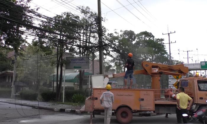 เพราะนกตัวเดียว! ระทึกไฟไหม้สายสื่อสารเป็นแนวยาวกว่า 500 เมตร