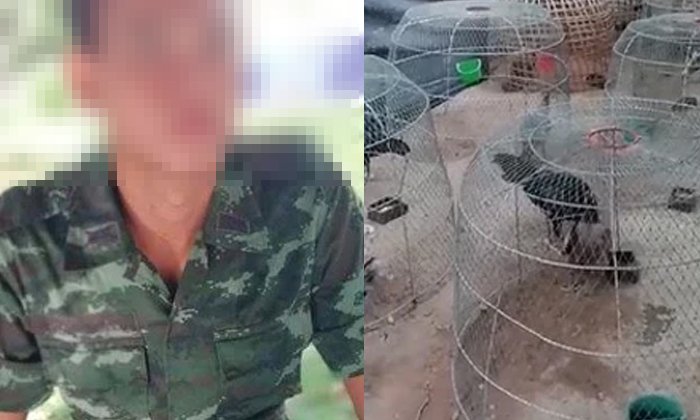 ทบ. ลงโทษทางวินัยนายทหาร "ใช้พลทหารเลี้ยงไก่" ใช้กำลังพลไม่เหมาะสม