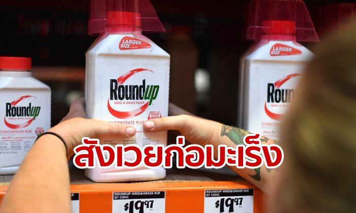 ช็อก! ศาลสหรัฐสั่ง "มอนซานโต้" จ่ายเหยื่อมะเร็งร่วม 65,000 ล้านบาท