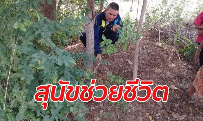 ผงะ! ขาเด็กโผล่กลางไร่มันสำปะหลัง ขุดขึ้นมาดูพบทารกถูกฝังดิน