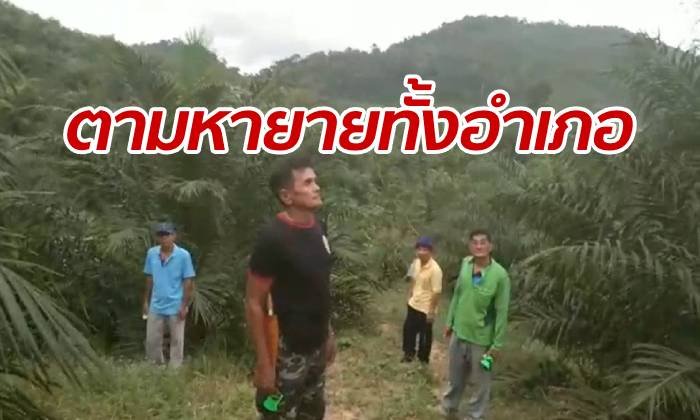 ยกอำเภอตามหา "ยายเผิน" หลงหายไปในป่า เชื่ออาถรรพ์โดนบังตาไว้