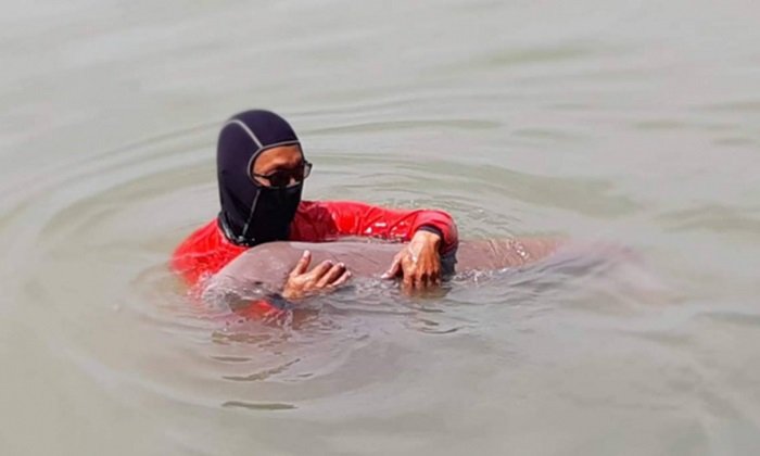 เสนอชุมชนเกาะลิบง ใช้ “โดรน” บินเฝ้าดูแลฝูงพะยูน