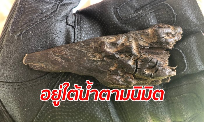 เจ้าคณะตำบลนิมิตเห็น "ตะเคียนทอง" ดวงวิญญาณวอนเอาต้นที่ 3 ขึ้นจากแม่น้ำชี