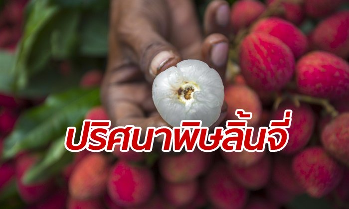 ศาลอินเดียสั่งสอบวิกฤติโรคสมองอักเสบ คร่าเด็กมากกว่า 150 ศพ