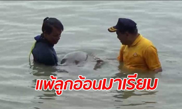 "มาเรียม" อยู่เป็น อ้อนผู้ว่าฯ ตรัง จนแทบไม่อยากขึ้นจากน้ำ