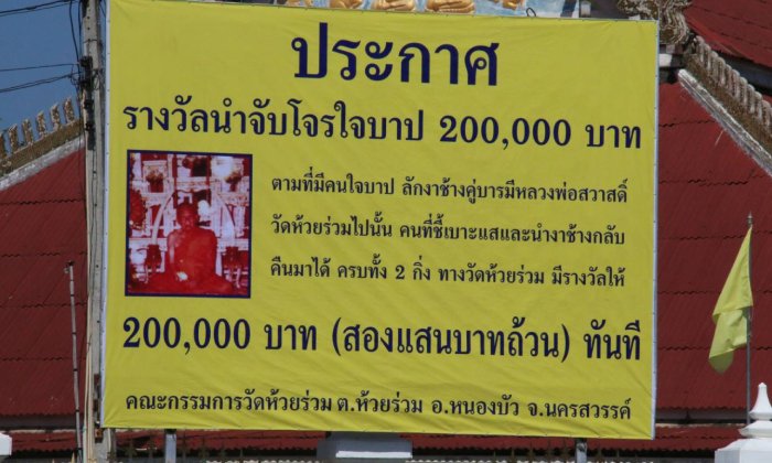 งาช้างหายไร้ร่องรอย วัดขึ้นป้ายรางวัลนำจับ 2 แสน แจ้งเบาะแสโจรใจบาป