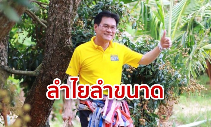จุรินทร์ แอ่วสวนลำไยเชียงใหม่-ลำพูน รับฟังปัญหาเกษตรกร หวังแก้ราคาต่ำครบวงจร