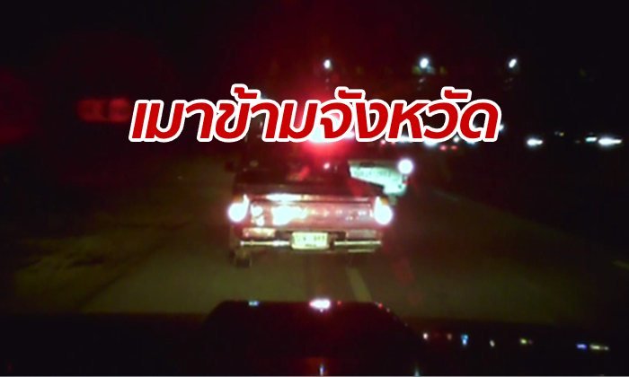 เปิดฉากไล่ปิกอัพเฉี่ยวรายทาง ซิ่งหนีข้ามจังหวัด ตำรวจเบียดจับลุงเมาแอ๋