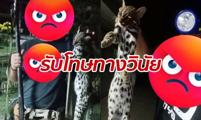 กองทัพบกสอบทหาร "ยิงแมวดาว" ถลกหนังโชว์ ลงโทษวินัย-สั่งขังแล้ว