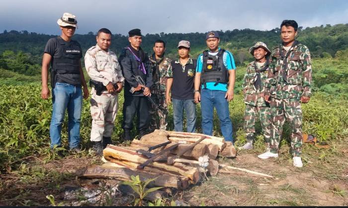 เจ้าหน้าที่ตรวจยึดไม้พะยูงบนเรือหางยาว เตรียมส่งนายทุนประเทศเพื่อนบ้าน