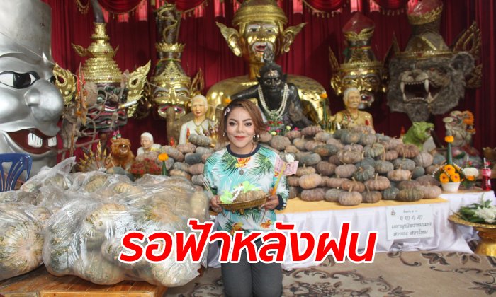 อดีตนักร้องดัง "นุจรี ศรีราชา" โชคดีขึ้นหลังรถคว่ำเสียโฉม ขนฟักทองแก้บนอาศรมฤๅษีเณร