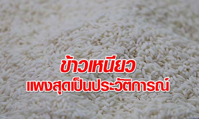 ข้าวเหนียวแพง 50 บาทต่อกิโลกรัม แซงหอมมะลิ