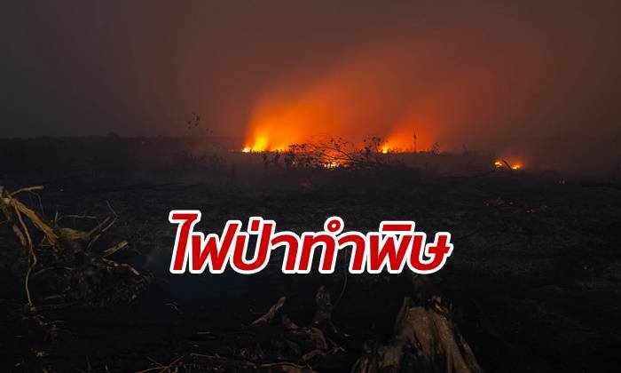ควันไฟป่าอินโดฯ ทำพิษ มาเลย์สั่งปิดโรงเรียนนับร้อย เหตุอากาศย่ำแย่ลง