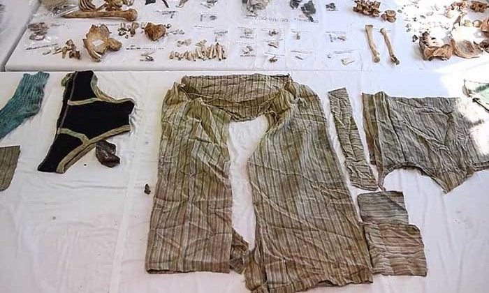 อึ้ง พบศพชายสูญหาย 40 ปี หลังเมล็ดพืชในท้องโตเป็นต้นไม้