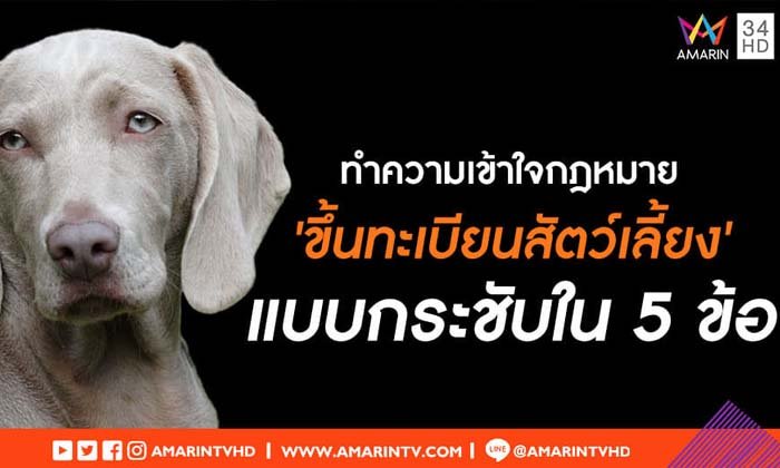 สั้นๆ ง่ายๆ ทำความเข้าใจกฎหมาย “ขึ้นทะเบียนสัตว์เลี้ยง” แบบกระชับใน 5 ข้อ