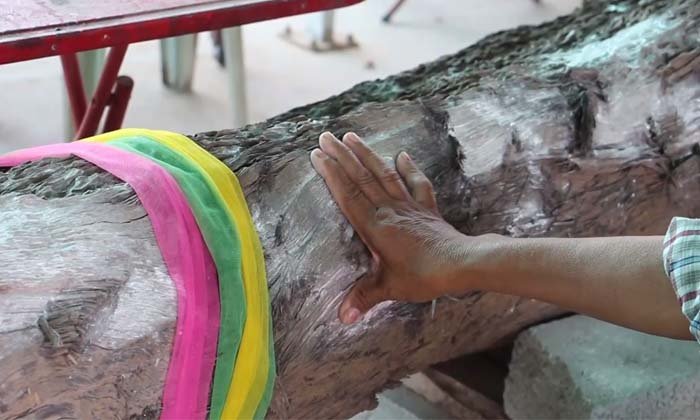 นักเสี่ยงโชคแห่ขอเลขเด็ด "แม่ตะเคียน" อายุกว่า 900 ปี