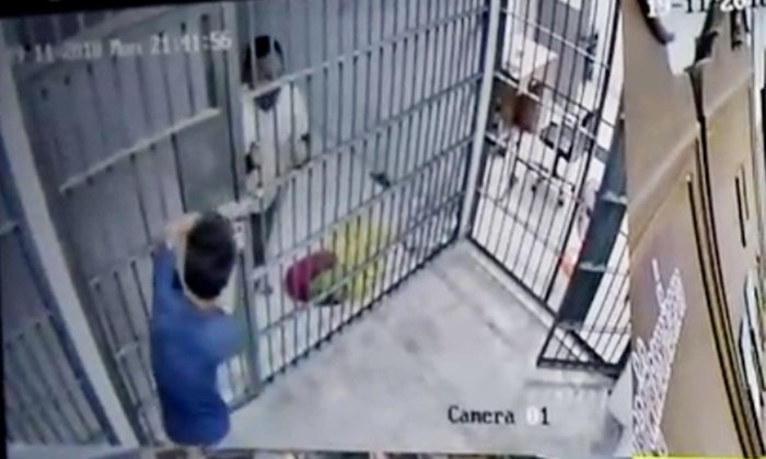 ผู้ต้องหาร้องหาสิบเวร "มีงูออกมา" ฉวยจังหวะหนีเตลิด ขังตำรวจไว้แทน