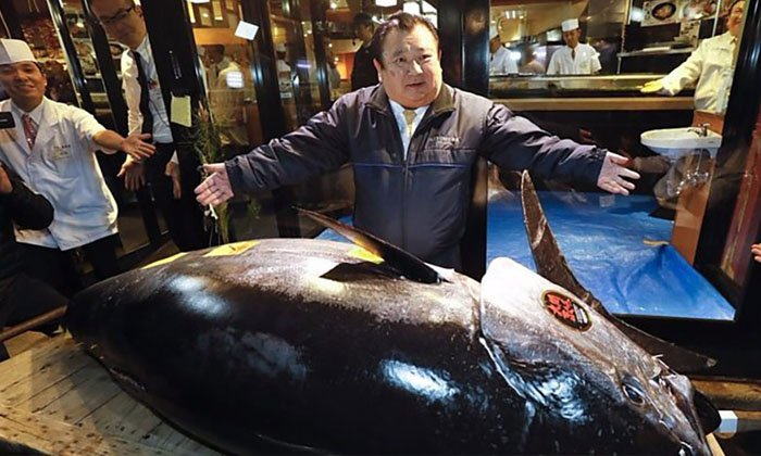 เจ้าของร้านซูชิดังกระฉ่อน ชนะประมูล "ทูน่า คิง" ราคา 100 ล้านบาท