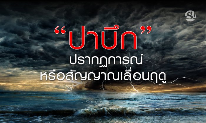"พายุปาบึก" ปรากฏการณ์ที่ไม่เคยเกิดมาก่อนหรือสัญญาณ "เกิดการเลื่อนของฤดูกาล?"