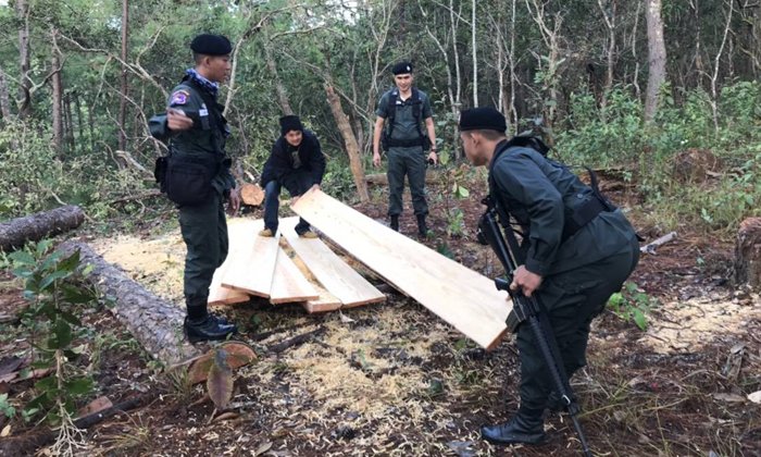 ตชด.สนธิกำลังรวบแก๊งลอบตัดไม้-แถมยึดอาวุธปืนพร้อม “ยาบ้า” ได้อีกเพียบ