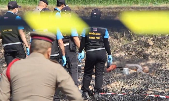 พ่อเฒ่าวัย 81 จุดไฟเผาตอซังข้าว ไฟเกิดลาม "ถูกไฟคลอก" ดับกลางทุ่ง!