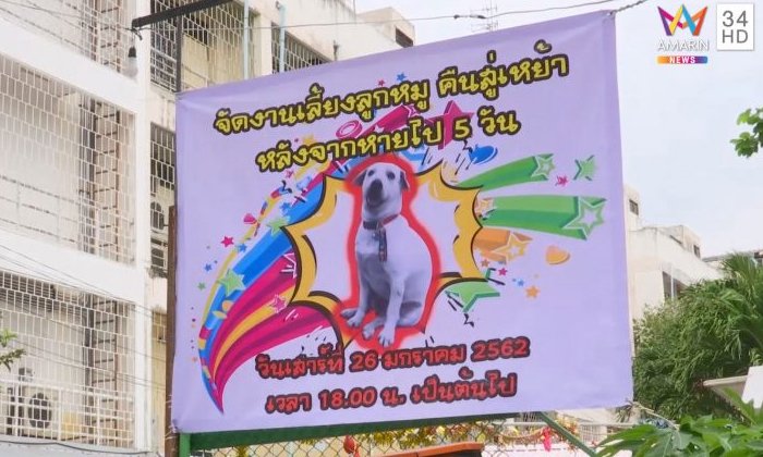 เปิดใจเจ้าของ “ลูกหมู” จัดงานเลี้ยงต้อนรับหมากลับบ้าน แก้บนหลังหายไป 5 วัน
