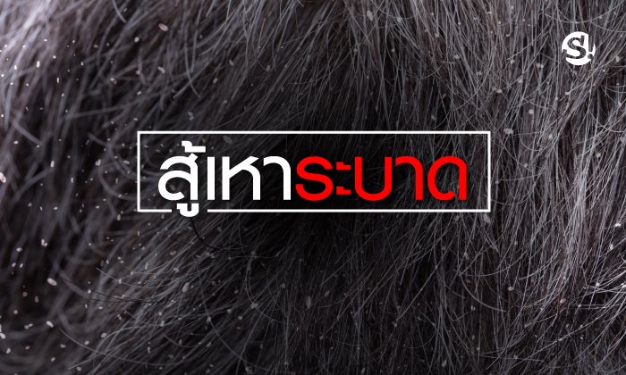 แค่เห็นก็คันหัว สระบุรีสู้วิกฤต “เหา” ระบาดในเด็กนักเรียนกว่า 2,300 คน