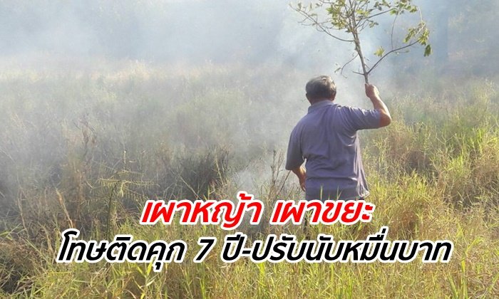 เปิดบัญญัติโทษ "เผาหญ้า-ขยะ" ติดคุก 30 วัน ถึง 7 ปี สั่งปรับหลักพันถึงหมื่น