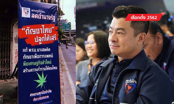 เลือกตั้ง 2562: "ภูมิใจไทย" ชูนโยบายแหวกแนว ชี้ดินไทยดีปลูกกัญชาขาย ขึ้นเบอร์ 1 โลกแน่