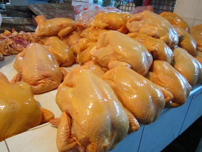 ส.เลี้ยงไก่ยันไก่ไหว้ตรุษจีนปลอดหวัดนกแน่