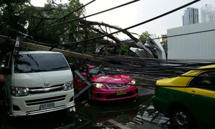 พายุฝนถล่มกรุง ต้นไม้หน้า สตช.ล้มขวางรถไฟฟ้า BTS